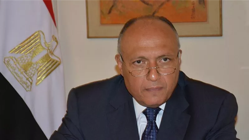 شكري: برنامج الإصلاح الاقتصادي جنب مصر التبعات الأسوأ في ظل التحديات العالمية