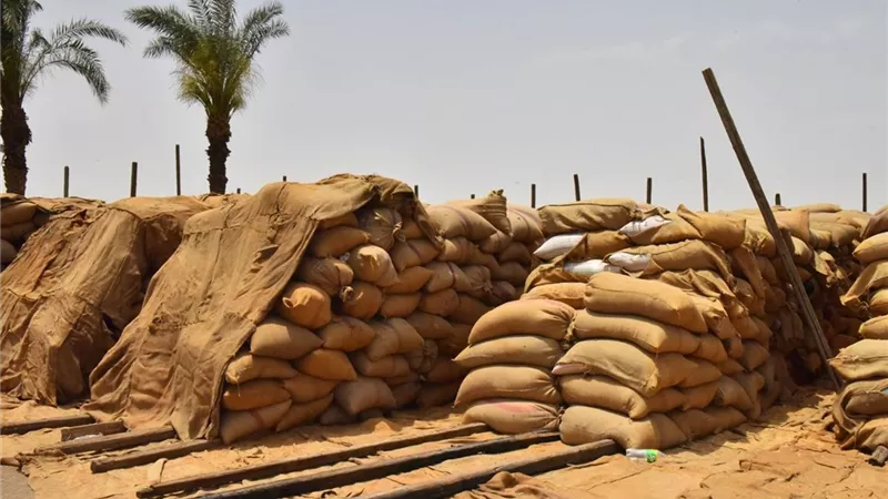 محافظ أسيوط يعلن ارتفاع توريد محصول القمح المحلي