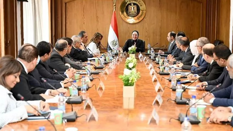 نيفين جامع: الحكومة تقدم كل الدعم والمساندة للقطاعات الصناعية الموجهة للتصدير