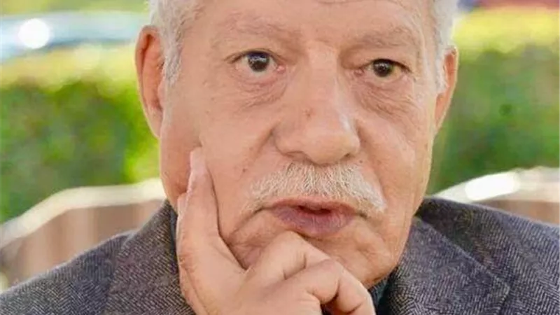 امل دنقل مع لجنة الشعر الأربعاء بالمجلس الأعلي للثقافة