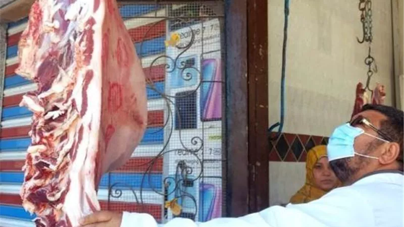 ضبط 269 كيلو من اللحوم والدجاج منتهية الصلاحية بالشرقية