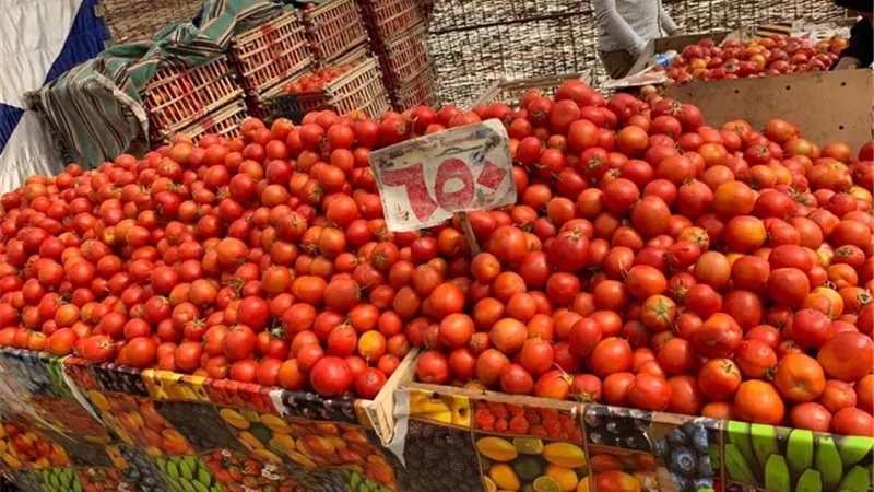 أسعار استرشادية..الطماطم بـ١٠جنيه والبسلة بـ ٨ والبطيخة الاسماعيلاوى بـ٣٠ جنيه