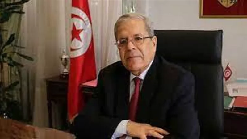 الجرندي: توفير كافة الإمكانيات لضمان مشاركة التونسيين بالخارج في الاستفتاء على الدستور