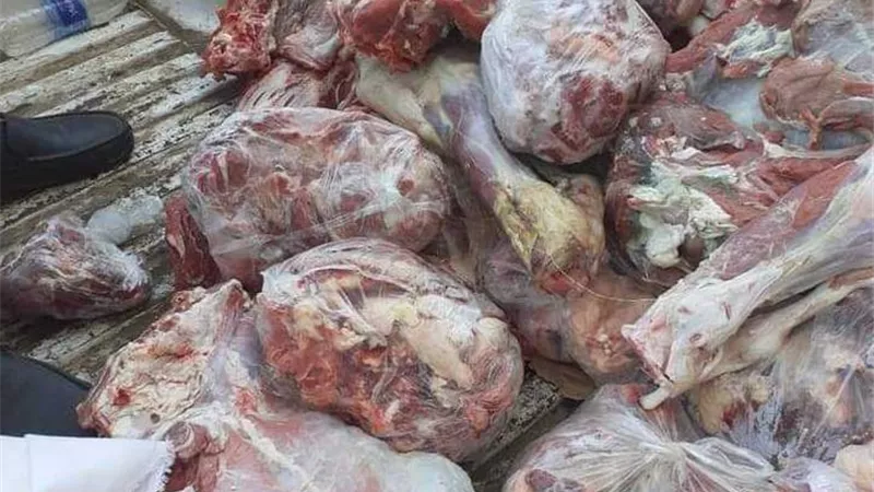 أبرزها لحوم فاسدة.. التموين: ضبط 1263 قضايا متنوعة خلال 24 ساعة