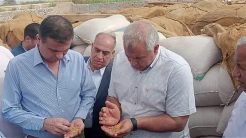الزملوط : توريد ٢٦٩ألف ١٤٧ طن من محصول القمح بصوامع وشون الوادى الجديد