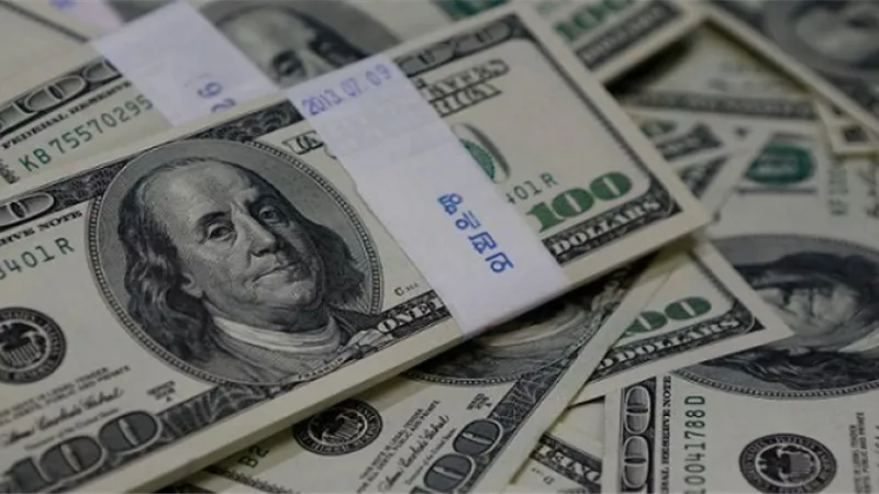 الدولار يحافظ على استقراره مقابل الجنيه المصرى بداية تعاملات الأسبوع