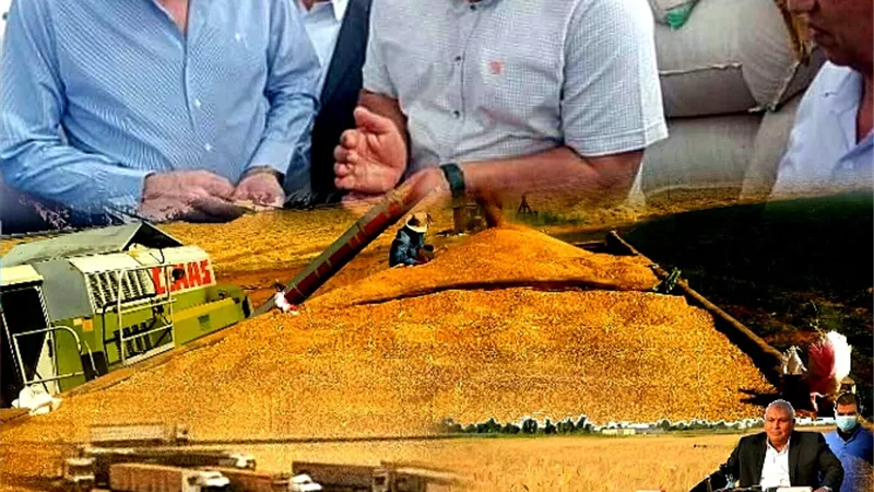 بعد توريد ٢٧٠ ألف طن..قمح الوادى فى العلالى وحلم المليون غالى