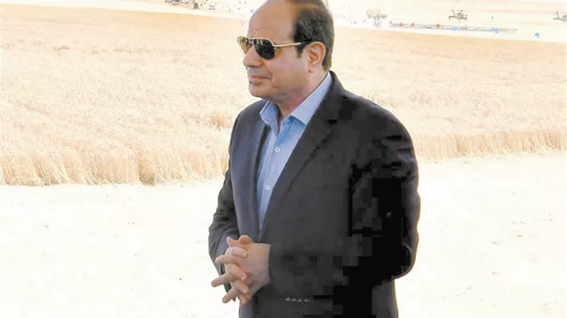 السيسي : ما تم في مصر خلال 500 سنة لزراعة أراضي الدلتا.. نريد أن نحققه في 5 سنوات في الصحراء