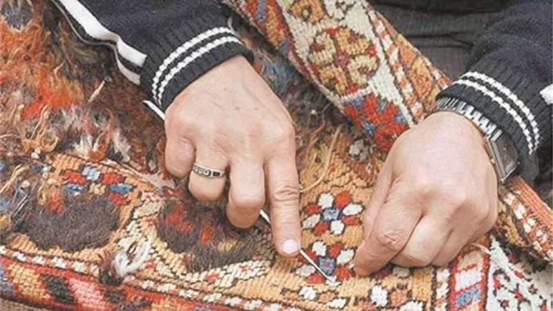 الشباب رصيد المجتمع من الطاقة الإيجابية الفاعلة.. وأهم وأغلي الثروات