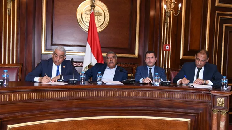 رئيس القابضة للغزل: افتتاح أكبر مصنع بالمحلة نهاية 2022 بإنتاجية 13 ألف طن سنويا