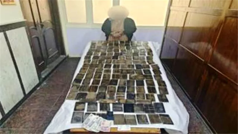 ضبط 