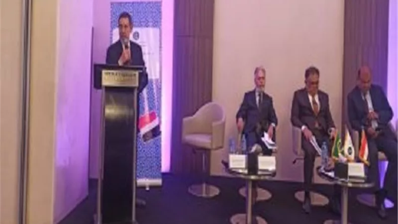 إعفاء التجارة بين مصر والبرازيل من التعريفات الجمركية بحلول 2026