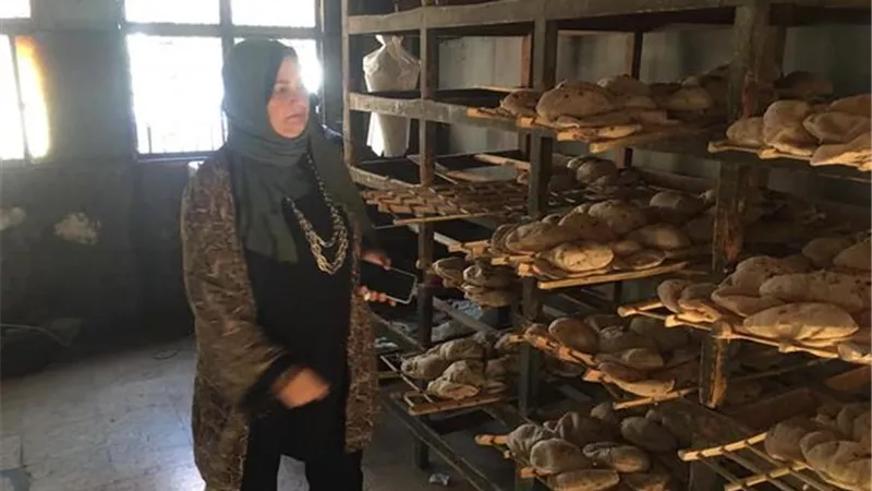 تحرير 69 محضر متنوع في الإسماعيلية..صور