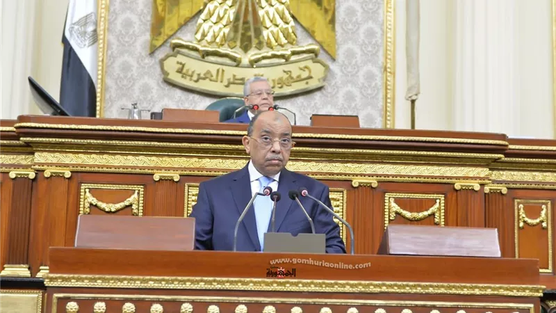 وزير التنمية المحلية: توجيهات رئاسية برفع كفاءة وتطوير المجازر الحكومية