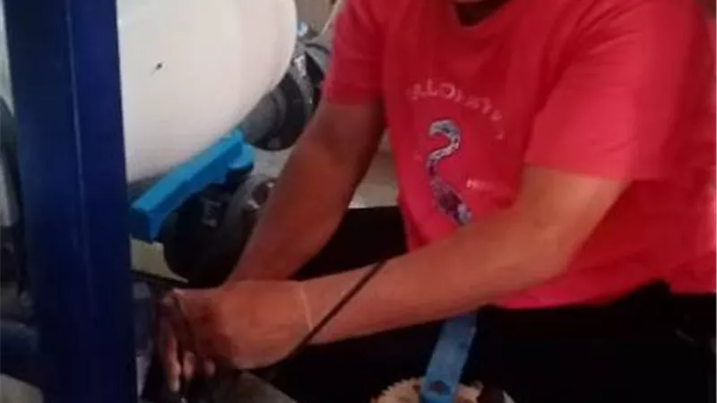 تركيب مظلات لحماية خزانات الكيماويات بمحطات كبريت في السويس..صور