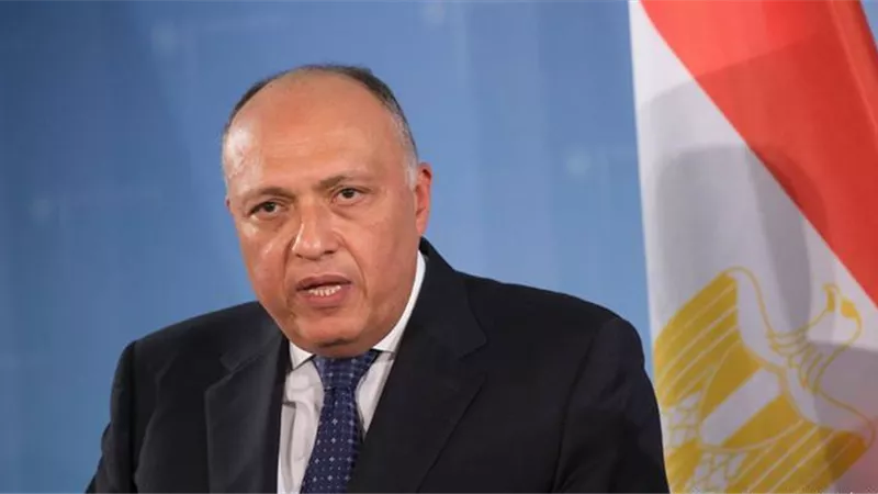 شكري: مصر تؤكد اهتمامها في التوصل إلى اتفاق ملزم بشأن عملية ملء وتشغيل سد النهضة