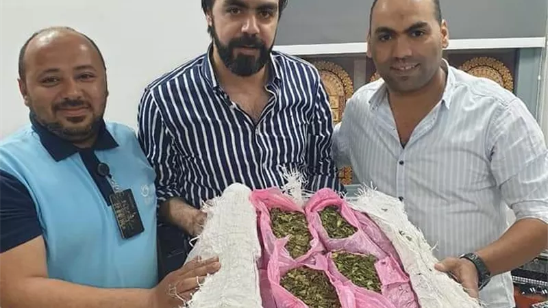 جمارك قرية البضائع تضبط ٤٠ كيلوجرام من نبات القات المخدر داخل طرد قادم من كينيا