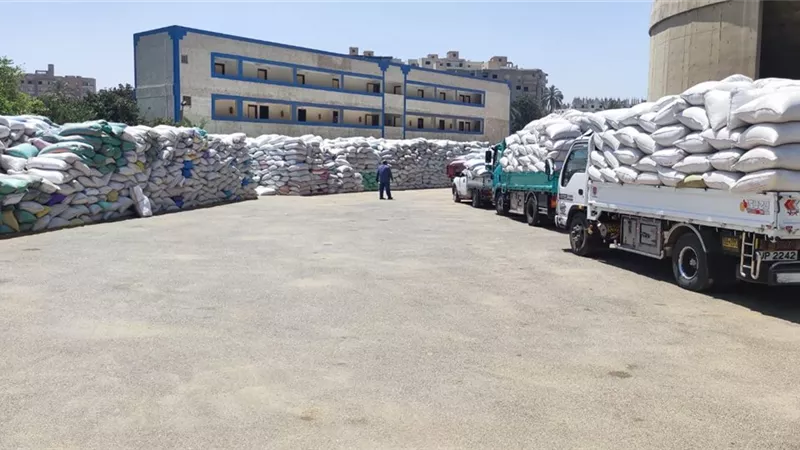 التموين: توريد 2 مليون و920 الف طن قمح محلي