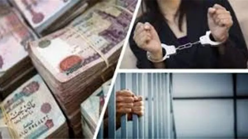 مستريحة الإسماعيلية جمعت 4 مليون جنيه لتوظيفها في الأجهزة الطبية