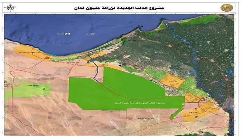 نائب: الدلتا الجديدة أعظم المشاريع الزراعية بأفريقيا