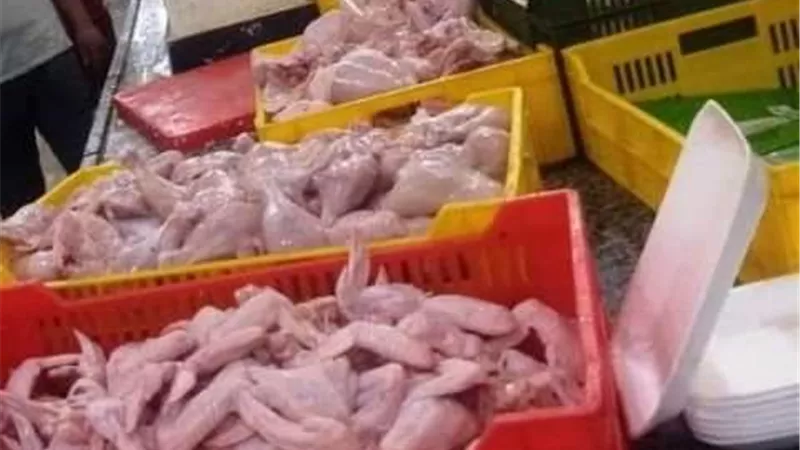 بيطري الشرقية يضبط 5 أطنان دجاج بمجزر غير مرخص بالعاشر ..صور