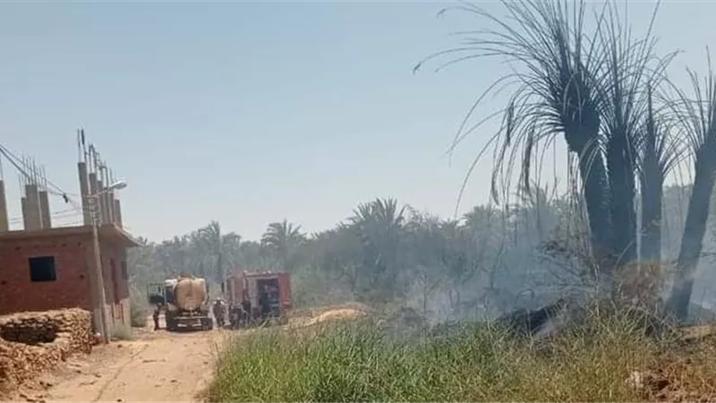 السيطرة على حريق محدود بمزرعة نخيل بمركز الداخلة في الوادي الجديد