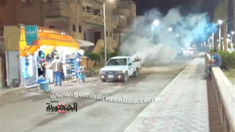 حملات لمكافحة الناموس والبعوض بمصيف بلطيم