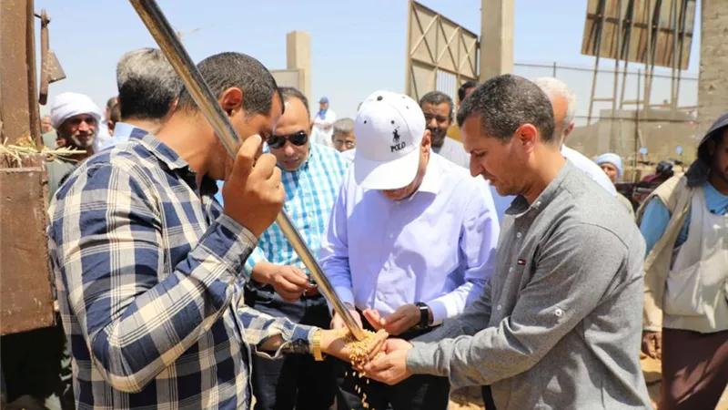 محافظ المنيا : تسلمنا ٣٩٠ الف طن قمح حتى اليوم