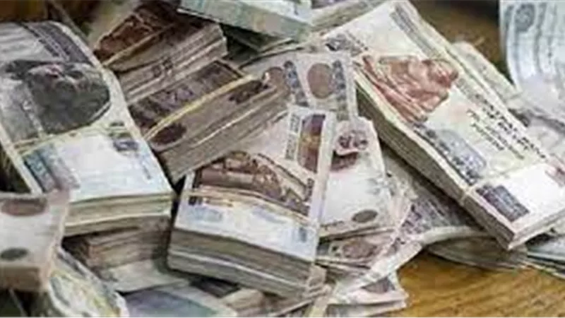 زوجان استوليا على 2.5 مليون جنيه بالبحيرة