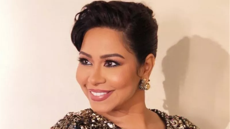شيرين عبد الوهاب ترد على عودتها وحملها من حسام حبيب