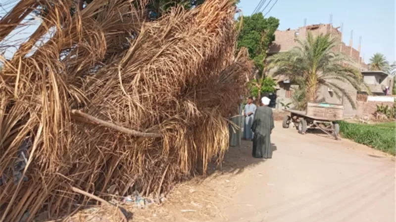 إزالة عشة مخالفة بالطريق العام شمال مدينة الأقصر