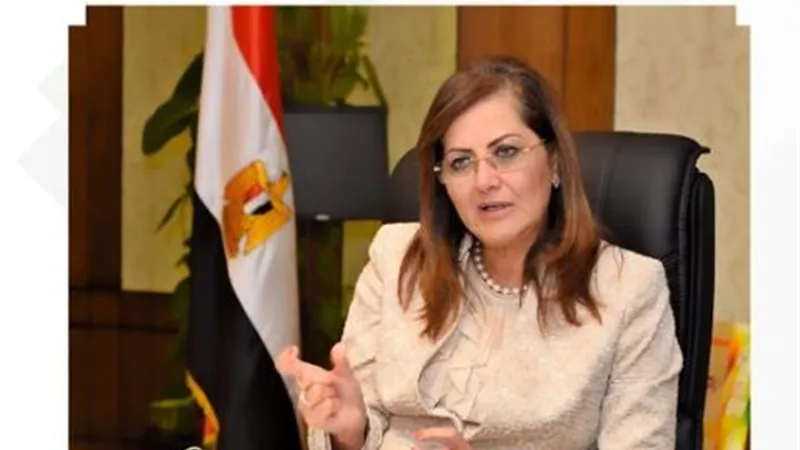 وزارة التخطيط والتنمية الاقتصادية تستعرض التجربة المصرية في 