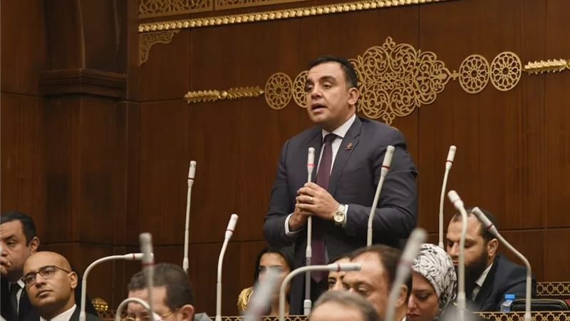 تجاوز سعره ١٣ الف جنيه.. نائب التنسيقية 