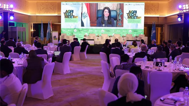 رانيا المشاط: المشروعات الجارية بين الحكومة و«إيفاد» تدعم صغار المزارعين