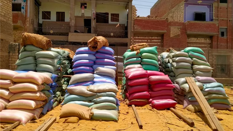 محافظ المنيا : توريد 407 الاف و850 طنا من القمح حتى اليوم