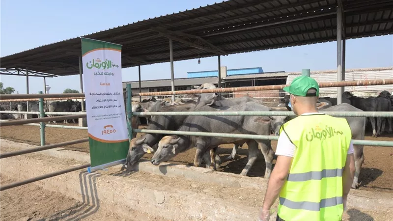 الأورمان تطلق حملة صكوك الاضاحي