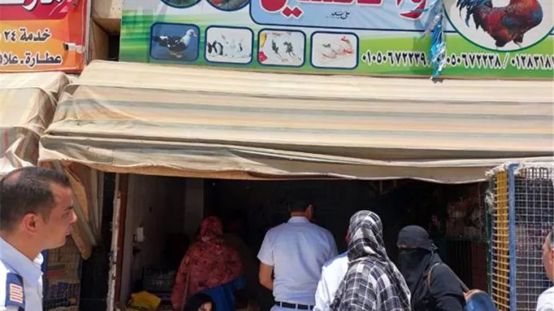 زينهم يكشف عن تفاصيل حملة الطب البيطرى فى مدينة الشروق.. بالصور