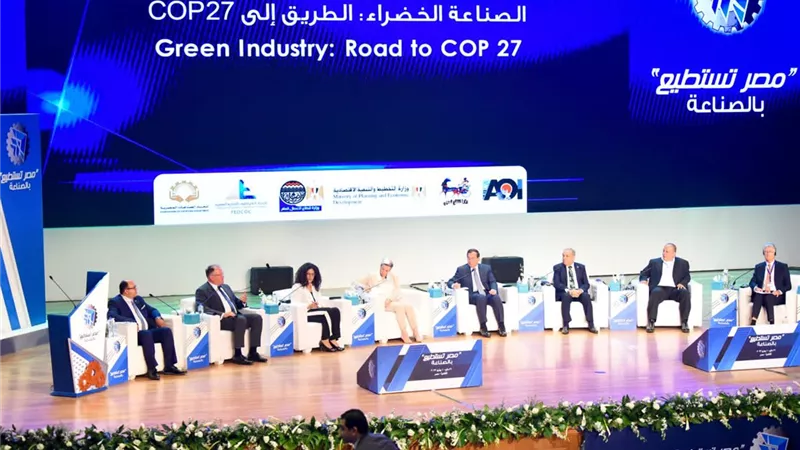 د.حنان مرسي: الصناعات الدوائية الأكثر أهمية للسوق المصرى