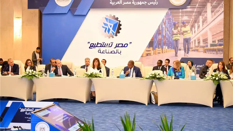 حنان مرسي: القارة الأفريقية سوق ضخم وبها المزيد من الفرص