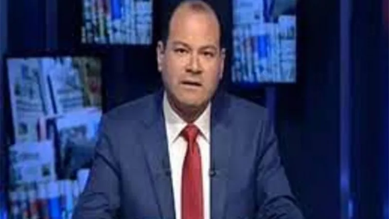 الديهي عن قرار الحكومة بشأن توريد القمح: نحن في حالة طوارئ اقتصادية