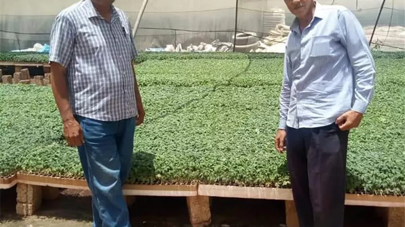 فحص مساحات الصوب الزراعية بأهناسيا