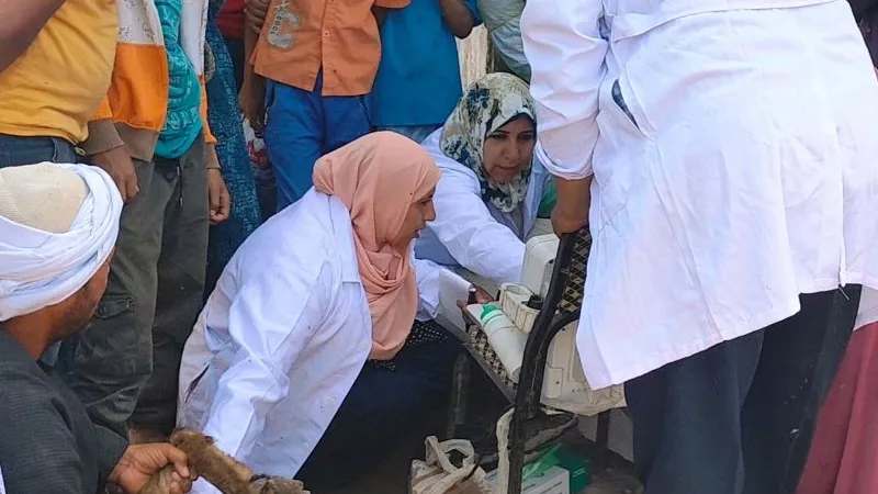 بيطري الشرقية يُنظم قافلة بيطرية بالمجان بقرية إنشاص الرمل ببلبيس