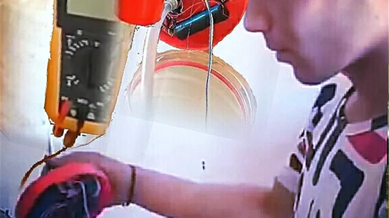 حمو 