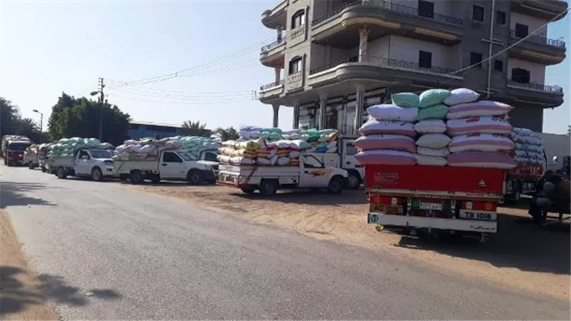 توريد 606 طنا من الذهب الاصفر لشون وصوامع الشرقية
