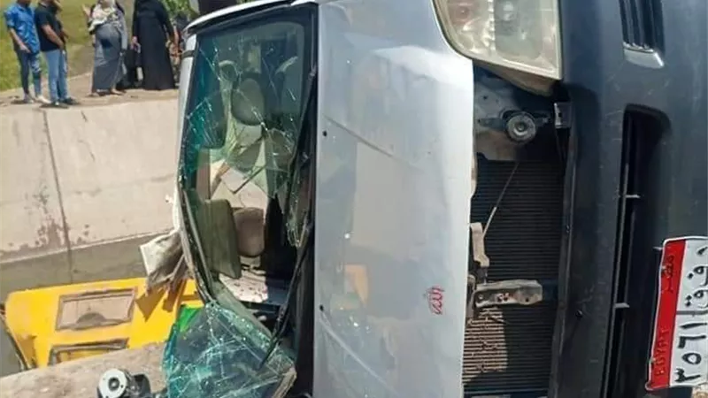 إصابة 11 شخصا من العمال الزراعيين بينهم اطفال فى حادث تصادم بالدقهلية