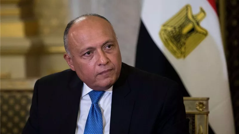 وزير الخارجية: يجب تركيز الجهود على التنفيذ الفعال لاتفاقية باريس وسد الفجوات التمويلية
