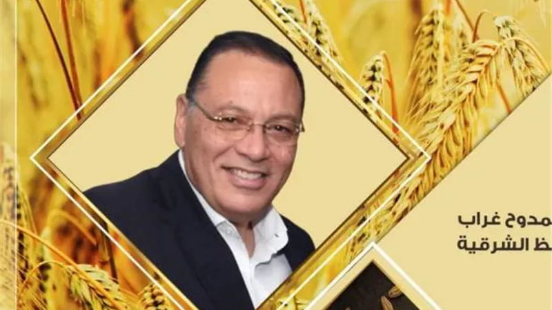 توريد ٦٠٨٨١٢ طن و٤٤٣ كيلو من حبوب الذهب الأصفر لصوامع الشرقية