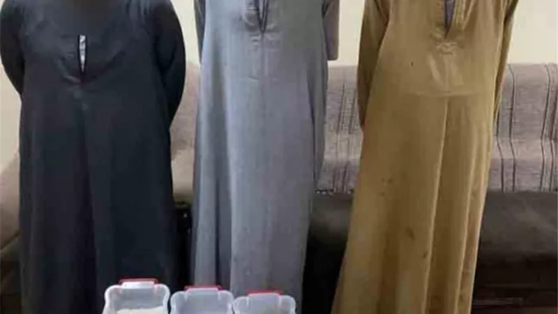 ضبط 