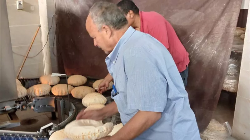 احالة 71 محضر مخالفات في مجال المخابز والاسواق للنيابة بالدقهلية