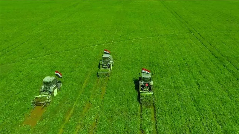 مشروعات قومية وإنجازات غير مسبوقة في قطاع الزراعة في عهد الرئيس السيسي